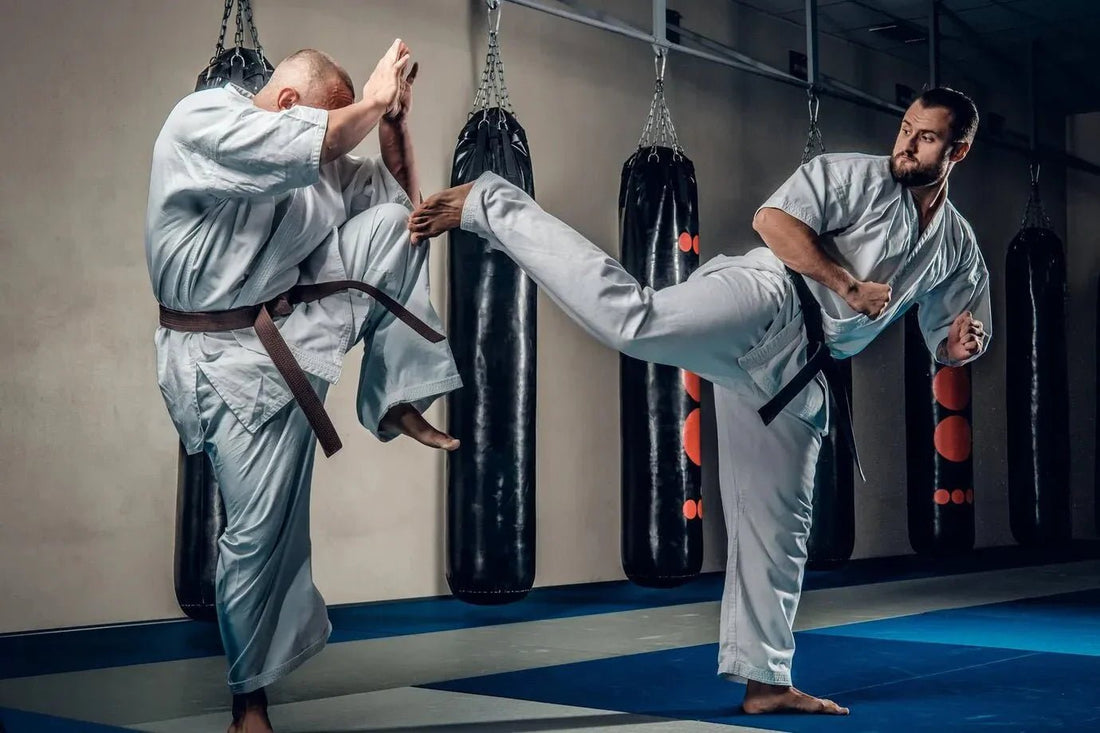 Die besten Grappling-Dummy-Übungen für Anfänger - RTX Sports