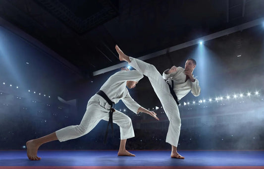 Kampfsport in Deutschland: Welche Stile boomen 2025? - RTX Sports