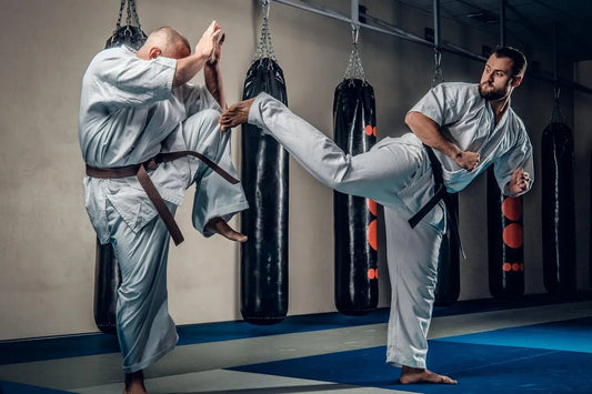 The Best Grappling Dummy Drills for Beginners - RTX Sports